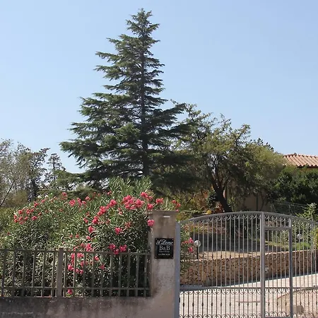 Bed & Breakfast A Domo Olbia